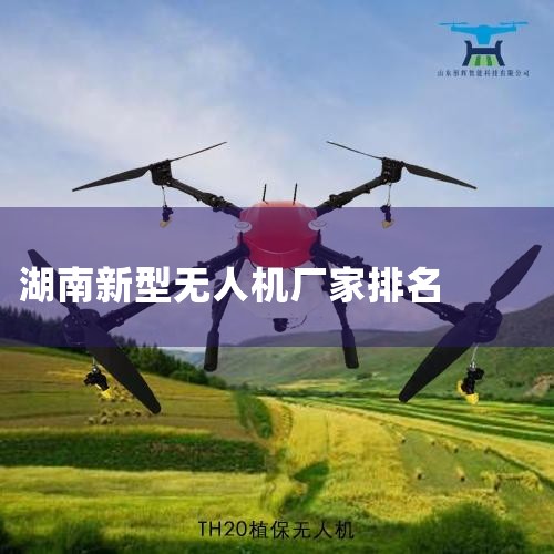 DJI ũҵ ũҵĽ벻¡DJI ũҵûΪԼΪΪȫûṩ˻ǻũҵƶũҵתܸЧδũҵ Ƚ|X ˻UAVͳơȫƷ˻|ܸ˻|˻|˻